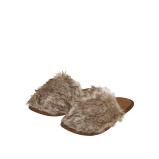 Husky slipper in brown Velour and faux fur, unisex size - 100pcs | Amonn