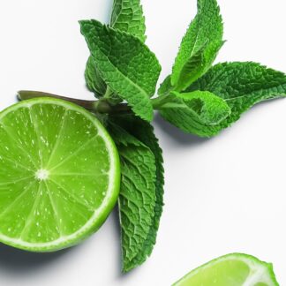 Vestige Raumduftdiffuser - 500 ml